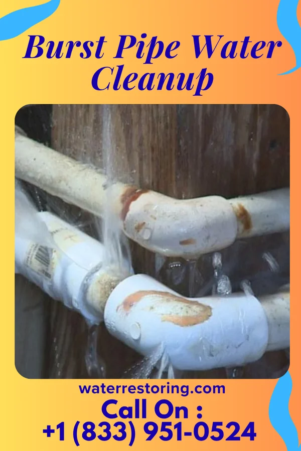 Burst Pipe Water Cleanup in Watha, NC