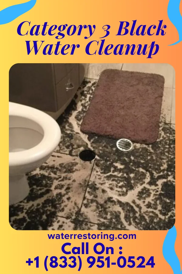 Category 3 Black Water Cleanup in Watha, NC