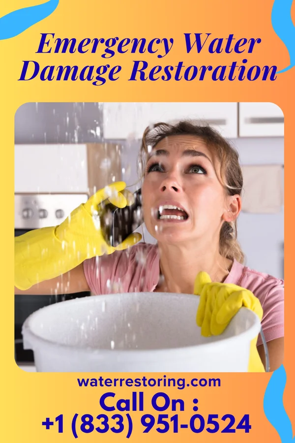 Emergency Water Damage Restoration in Watha, NC