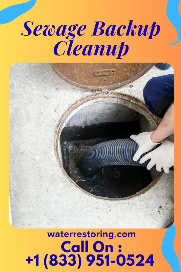Sewage Backup Cleanup in Watha, NC