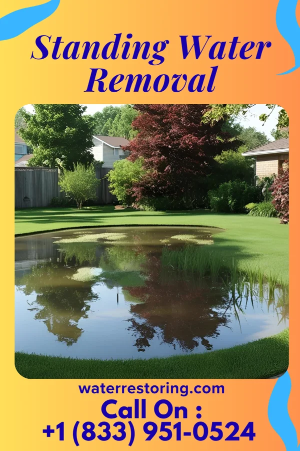 Standing Water Removal in Watha, NC